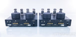 BAT VK55SE Balanced Mono Tube Power Amplifier