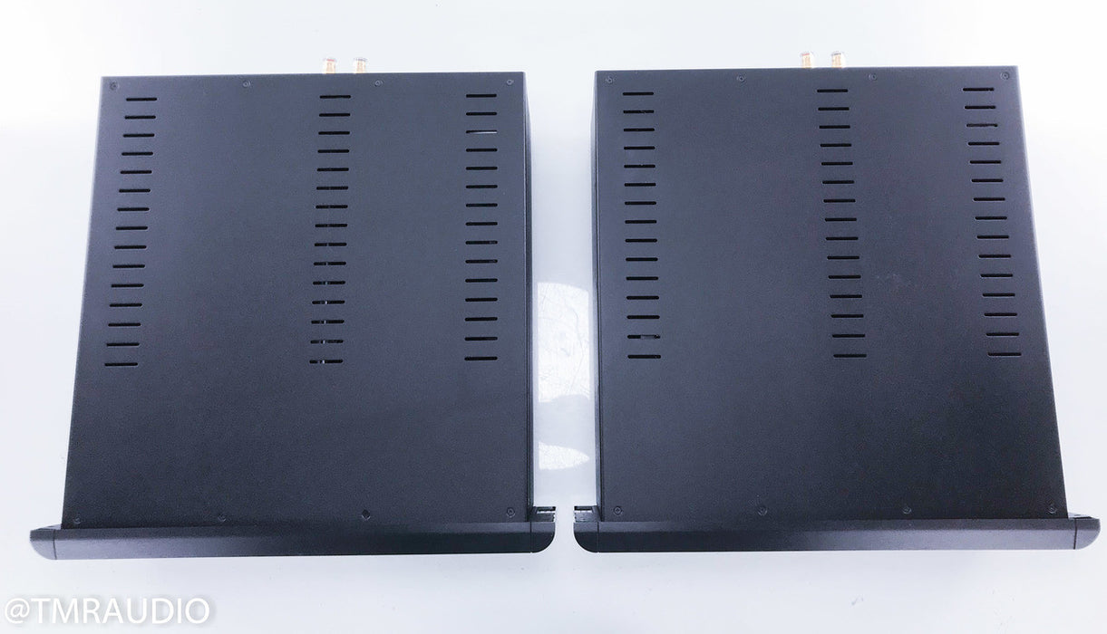 Classe CT-M300 Mono Power Amplifier