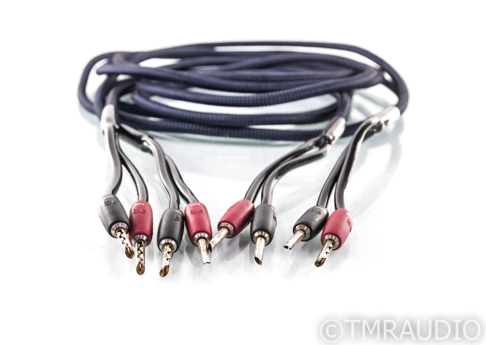 AudioQuest Type 4 Speaker Cables; 10ft Pair