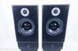 ATC SCM19 Bookshelf Speakers w/ Stands