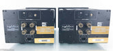 Oasis Statement S-200M Mono Power Amplifier