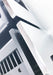 Oasis Statement S-200M Mono Power Amplifier