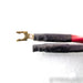 Audioquest Clear Hyperlitz Speaker Cables; 6m Pair (Missing Termination)