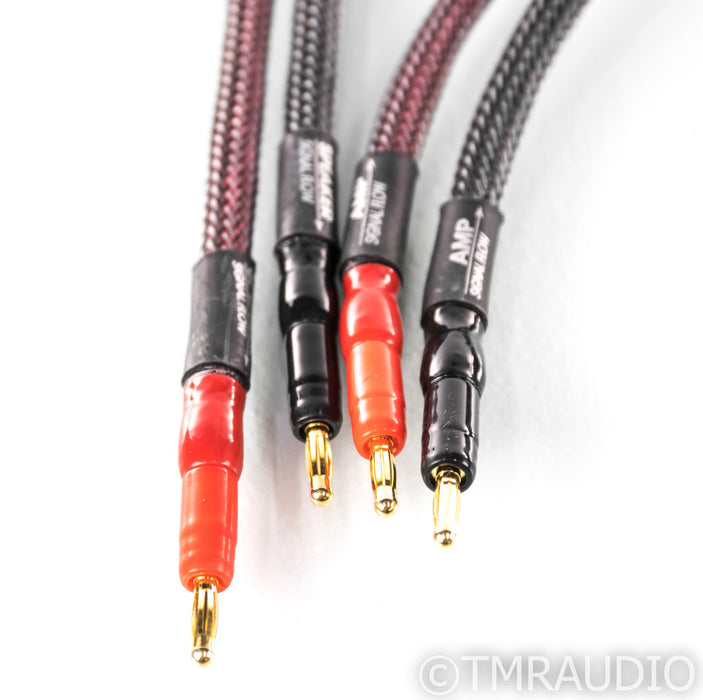 MIT Shotgun S3 Speaker Cables; 10ft Pair; S-3