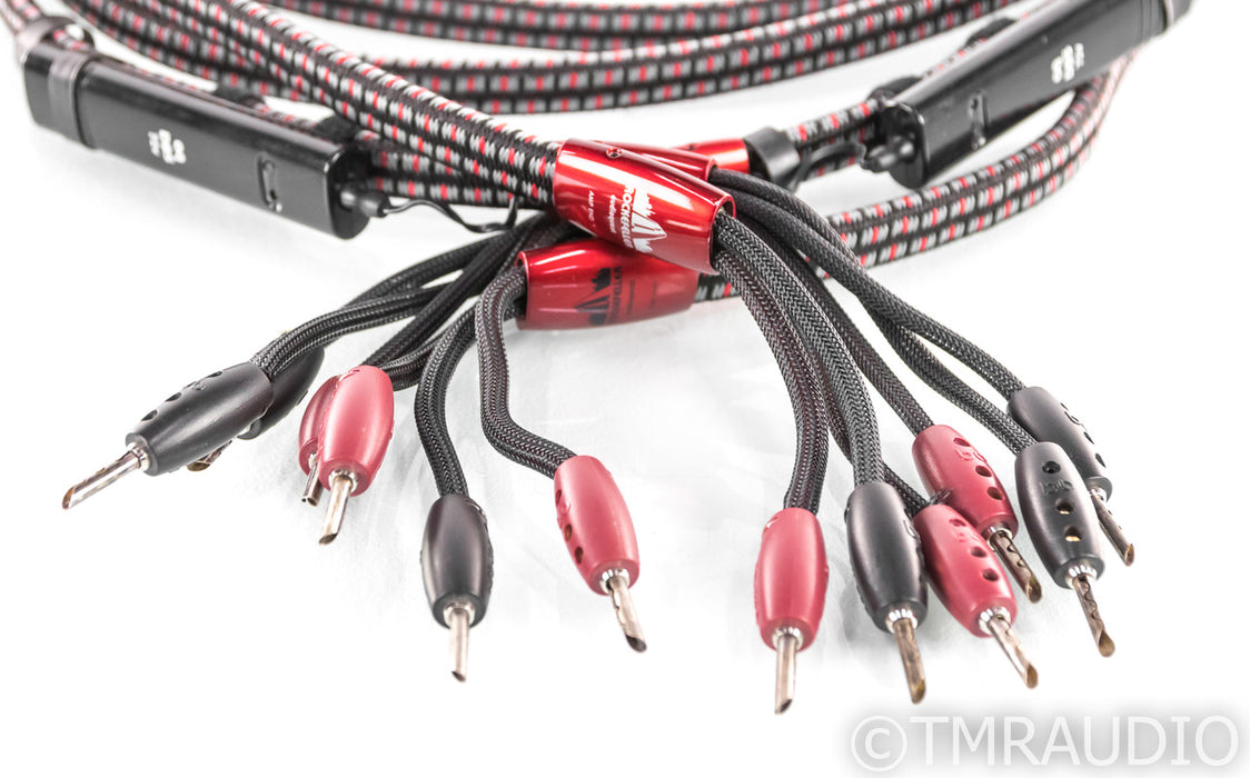 AudioQuest Rockefeller Bi-Wire Speaker Cables; 10ft Pair; 72v DBS
