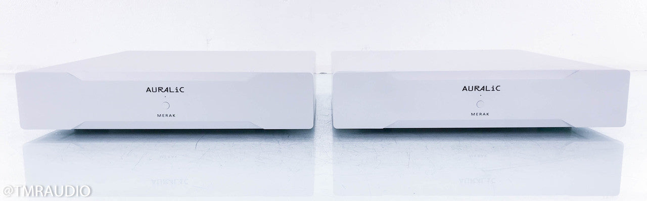 Auralic Merak Mono Power Amplifier
