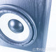 Mirage Omni S10 10" Powered Subwoofer; S-10