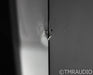 Paradigm Signature 6 v.3 Floorstanding Speakers