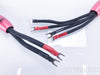 AudioQuest Volcano Bi-Wire Speaker Cables; 5.5ft Pair; Silver Spades