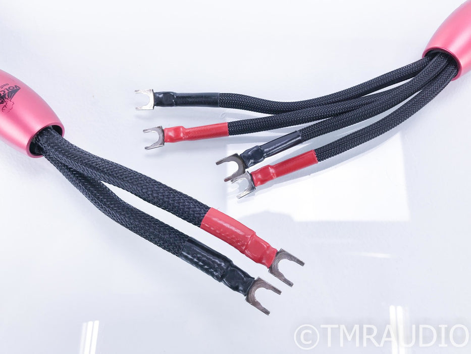 AudioQuest Volcano Bi-Wire Speaker Cables; 5.5ft Pair; Silver Spades