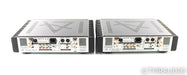 Leema Acoustics Hydra II Stereo / Mono Power Amplifier