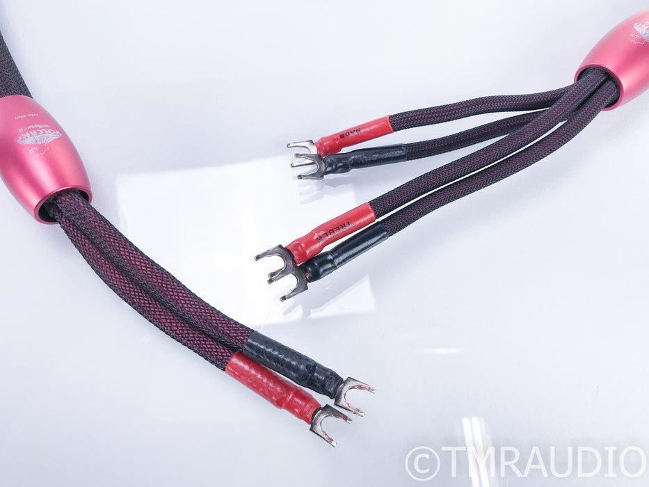 AudioQuest Volcano Bi-Wire Speaker Cables; 5.5ft Pair; Silver Spades