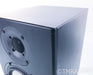 DSPeaker Servo 300Pro Active Bookshelf Speakers