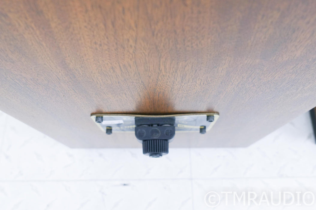 Avalon Acoustics Indra Floorstanding Speakers