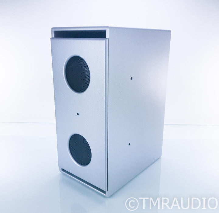 PSI Audio Sub A225-M Dual 10" Powered Subwoofer; Silver; A225M; R&B 8A Module