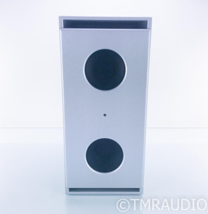 PSI Audio Sub A225-M Dual 10" Powered Subwoofer; Silver; A225M; R&B 8A Module