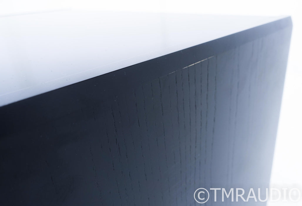 Meridian DSW2500 Dual 10" Powered Subwoofer; DSW-2500 (No Feet)