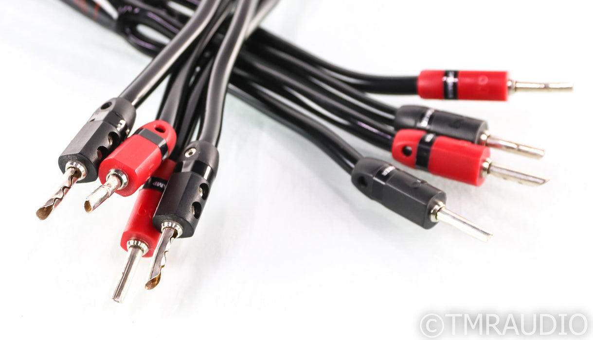AudioQuest Rocket 33 Speaker Cables; 10ft Pair