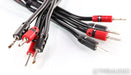 AudioQuest Rocket 33 Speaker Cables; 10ft Pair