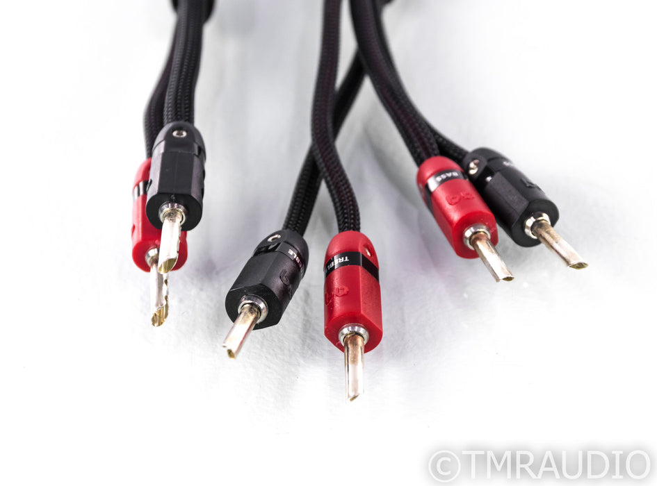 AudioQuest Gibraltar Bi-Wire Speaker Cable; 8ft Pair; 72v DBS