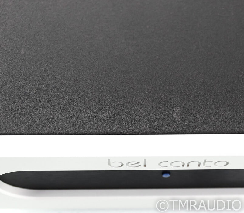 Bel Canto e.One REF500M Mono Power Amplifier