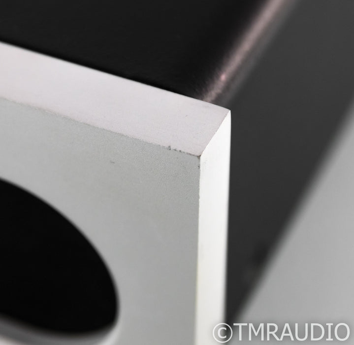Bel Canto e.One Ref 1000 Mono Power Amplifier