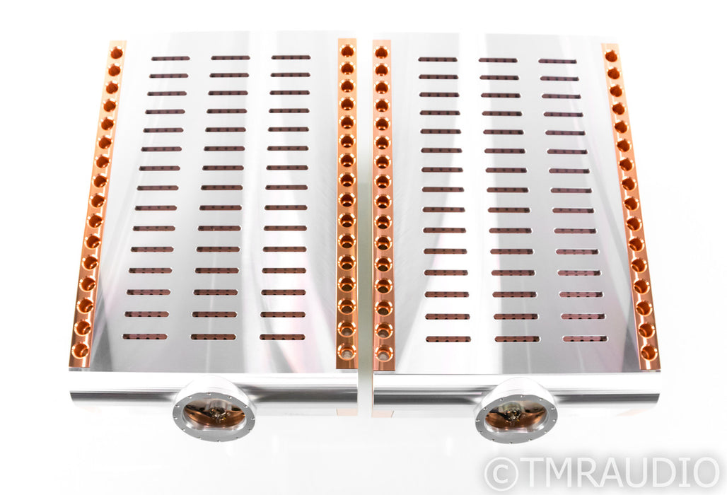 Dan D'Agostino M400 Mono Power Amplifier