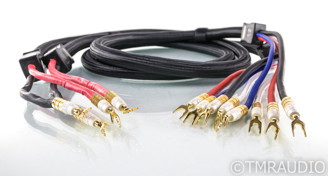 PS Audio xStream Statement Bi-Wire Speaker Cables