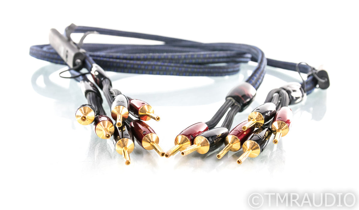 AudioQuest Gibraltar Bi-Wire Speaker Cables; 8ft Pair; 72v DBS