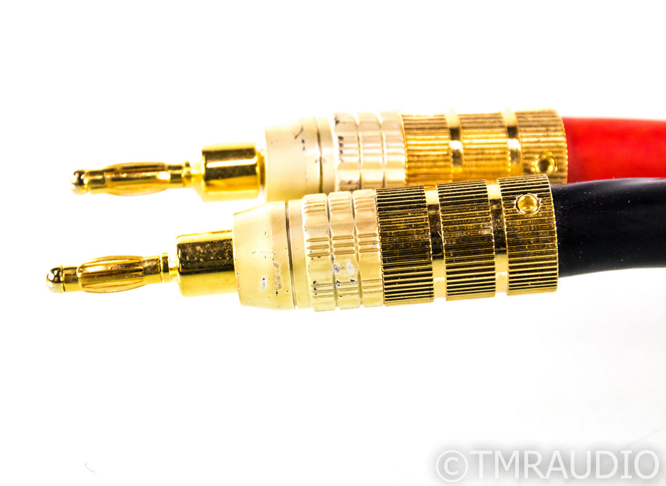 PS Audio Xstream Statement Speaker Cables; 3m Pair; Banana / Spade