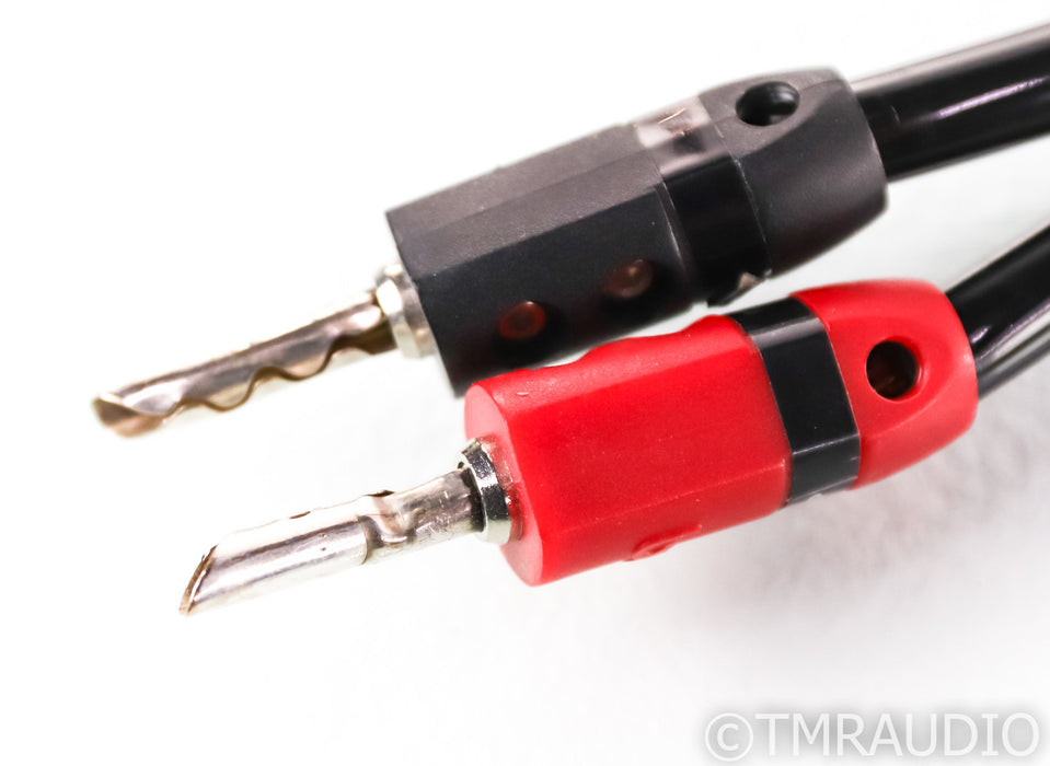 AudioQuest Rocket 33 Speaker Cables; 10ft Pair