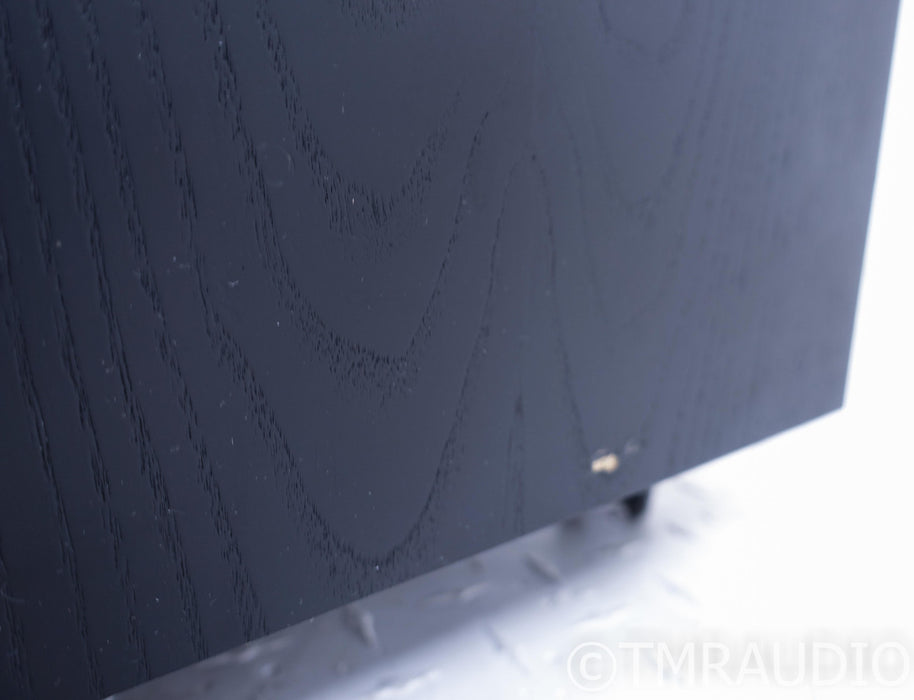 Meridian DSW2500 Dual 10" Powered Subwoofer; DSW-2500 (No Feet)