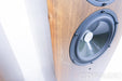 Avalon Acoustics Indra Floorstanding Speakers