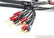 AudioQuest Rocket 88 Bi-Wire Speaker Cables; 6ft Pair; Gold Plated; 72v DBS