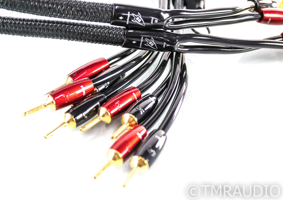 AudioQuest Rocket 88 Bi-Wire Speaker Cables; 6ft Pair; Gold Plated; 72v DBS
