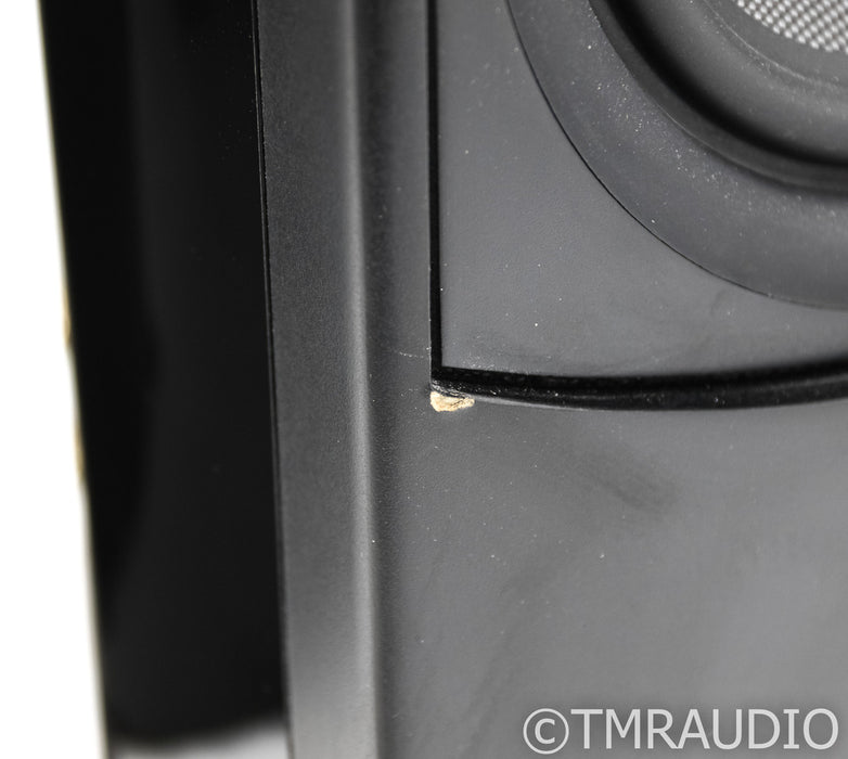 Aperion Audio Verus Grand Tower Floorstanding Speakers