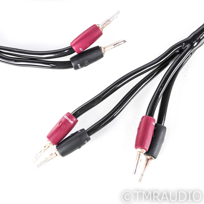 AudioQuest Rocket 33 Bi-Wire Speaker Cable; 10ft Pair