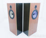 DeVore Fidelity Orangutan O/93 Floorstanding Speakers