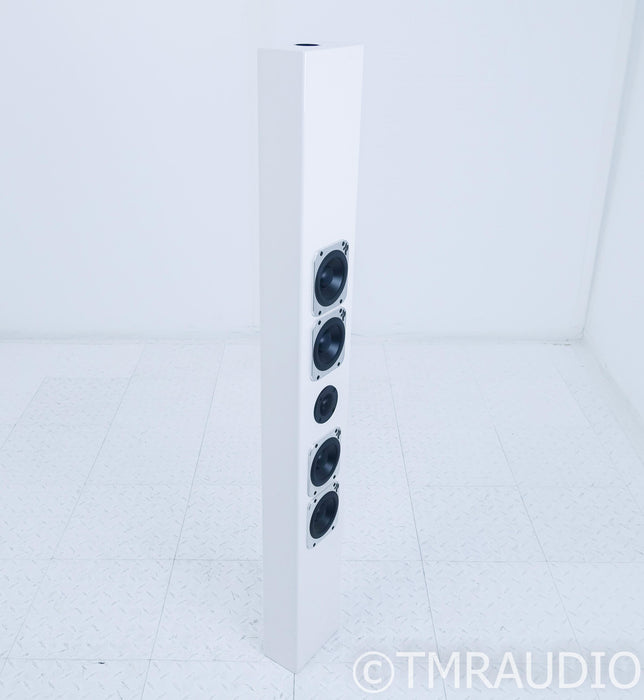 Totem Tribe V On-Wall Speaker; Ice; Tribe 5; Single