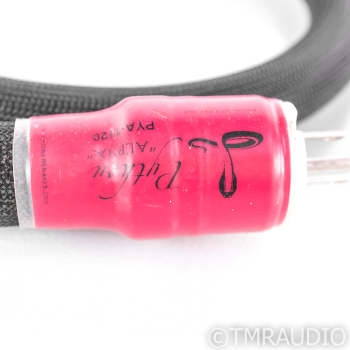 Shunyata Python Alpha Power Cable; 6ft AC Cord; 20A