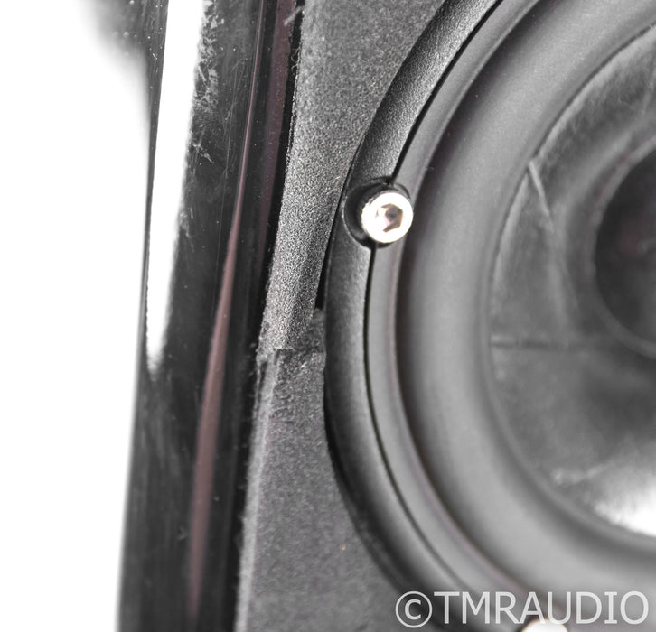 Wilson Watch Surround / Satellite Speakers