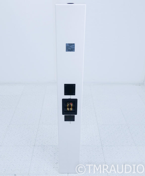 Totem Tribe V On-Wall Speaker; Ice; Tribe 5; Single