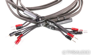AudioQuest Castle Rock Bi-Wire Speaker Cables; 15ft Pair