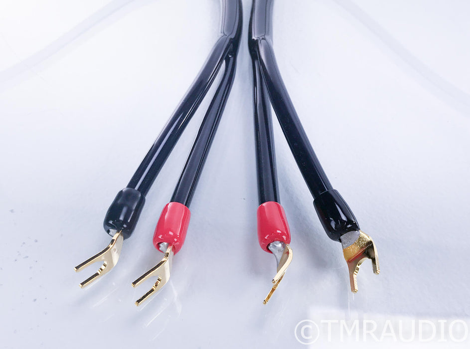 Transparent Audio The Wave Speaker Cables; 8ft Pair