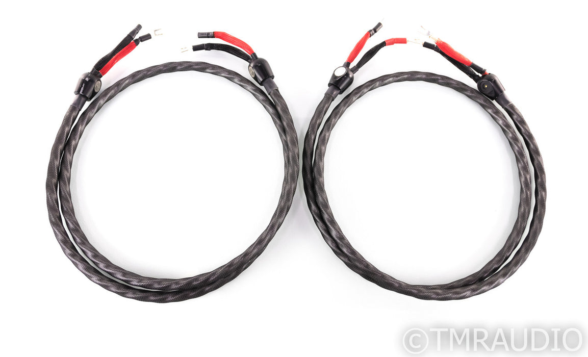WireWorld Silver Eclipse 7 Speaker Cables; 2.5m Pair