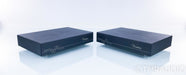 Merrill Audio Veritas Mono Power Amplifier