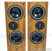 Living Voice Avatar II Floorstanding Speakers