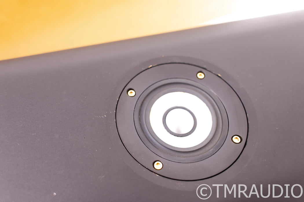 Thiel CS2.3 Floorstanding Speakers