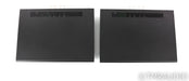 PS Audio Stellar M700 Mono Power Amplifier