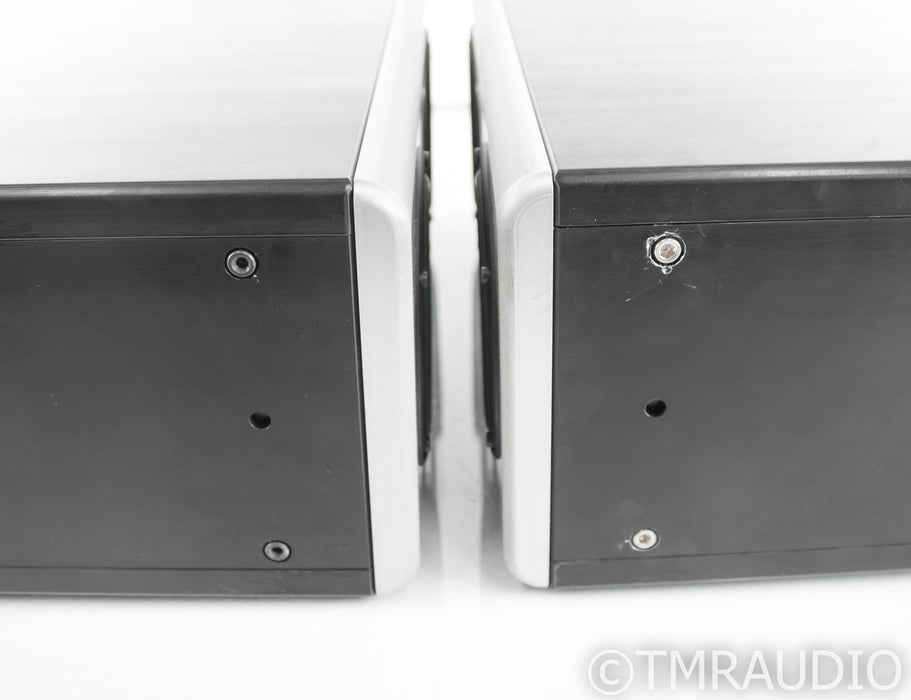 YG Acoustics Anat Studio Reference II Floorstanding Speakers